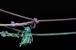 探秘绳艺影视：绳索的艺术与魅力